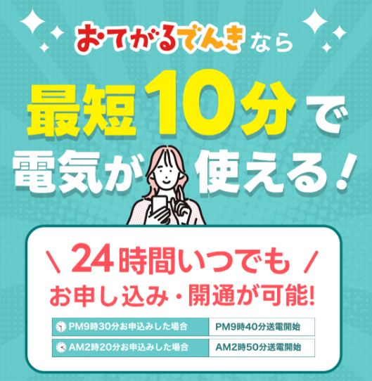 おてがるでんき 即日