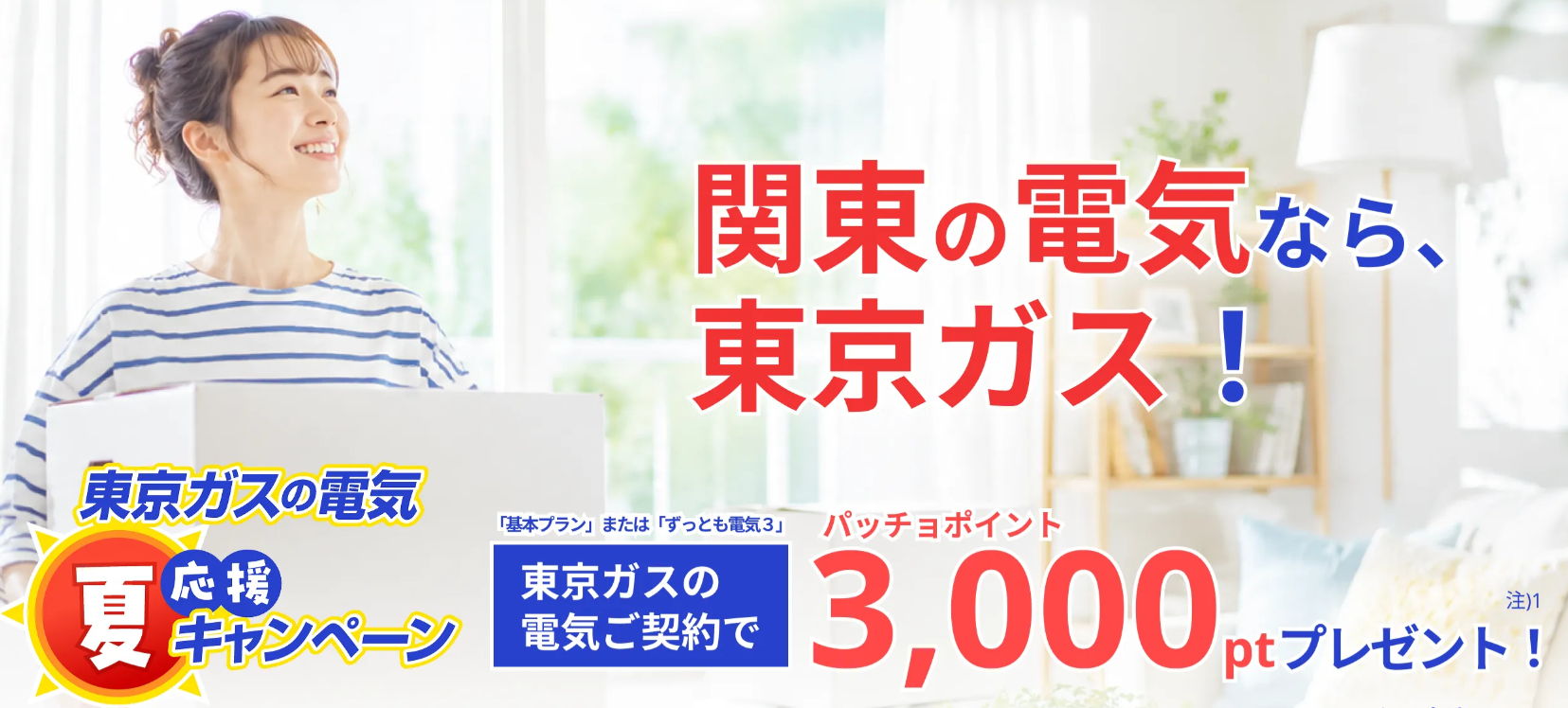 東京ガスの電気