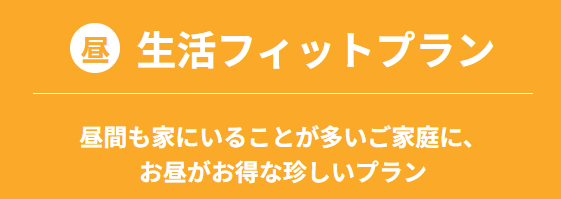 シン・エナジーの【昼】生活フィットプラン